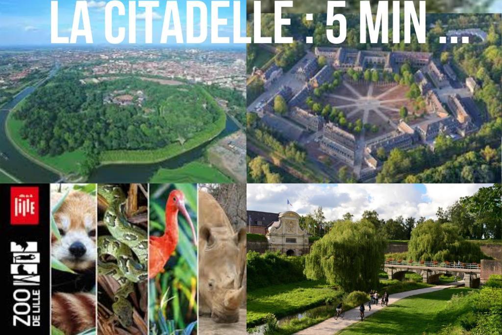 Sparadise Lille Ngoại thất bức ảnh